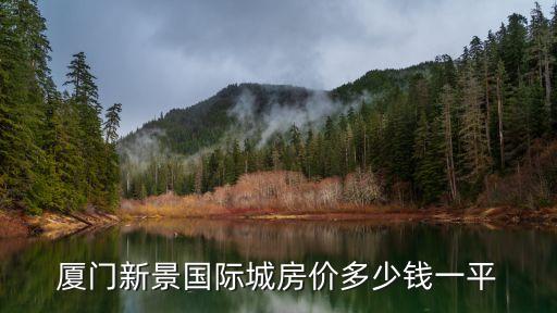 新景國際外灘,廈門新景國際城房價多少錢一平?
