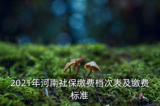 河南社保繳費基數,河南社保繳費比例多少?繳費標準不統一