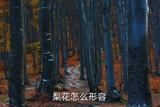 梨花花語,梨花的花語?含義:陪伴守候