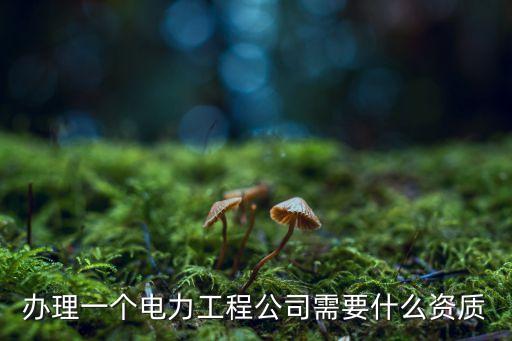 電力資質(zhì),電力設計資質(zhì)是什么?