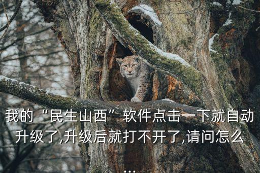 我的“民生山西”軟件點擊一下就自動升級了,升級后就打不開了,請問怎么...