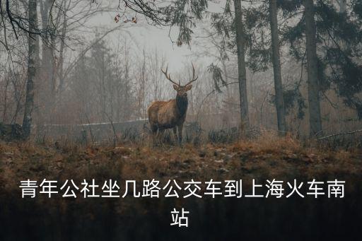 青年公社,從青年公社步行約130米到上?；疖嚹险竟痪€路如下
