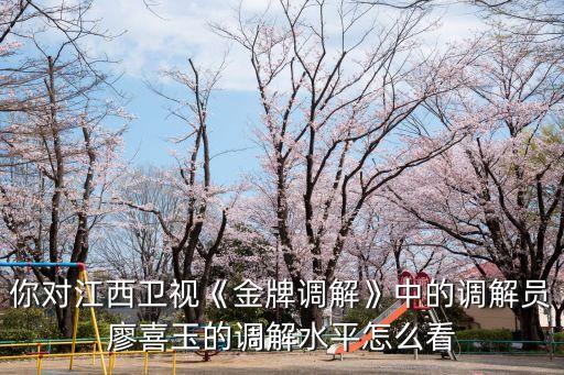 金牌調(diào)解主持人,《金牌調(diào)解》主持人是誰(shuí)?
