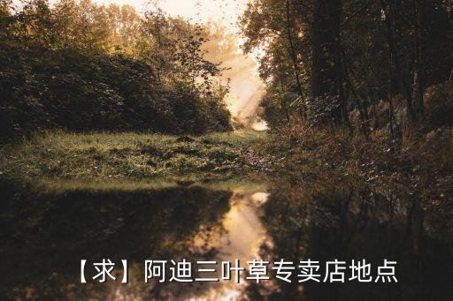 【求】阿迪三葉草專賣(mài)店地點(diǎn)