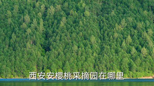 西安安櫻桃采摘園在哪里