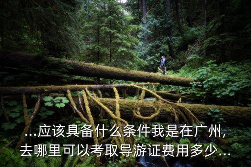 導(dǎo)游證報名多少錢,導(dǎo)游證考試怎么考?