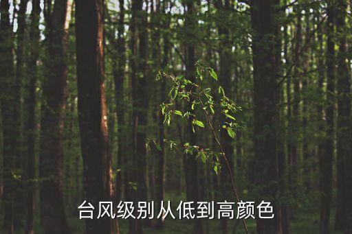 臺風級別從低到高顏色