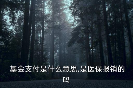 基金支付是什么意思,是醫保報銷的嗎