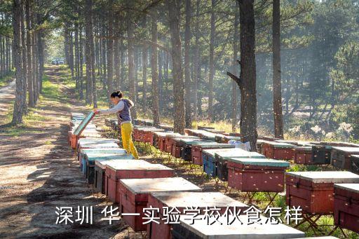 深圳 華一實驗學校伙食怎樣