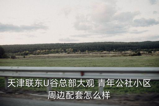 天津聯(lián)東U谷總部大觀 青年公社小區(qū)周邊配套怎么樣