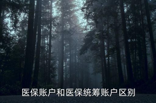 醫保賬戶和醫保統籌賬戶區別