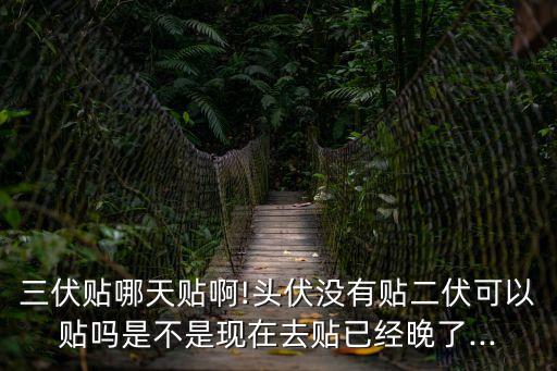 三伏貼哪天貼啊!頭伏沒有貼二伏可以貼嗎是不是現(xiàn)在去貼已經(jīng)晚了...