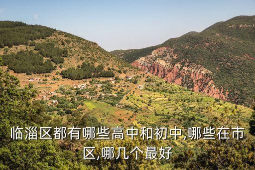 雪宮中學,臨淄區實驗中學登記中學山東金山中學