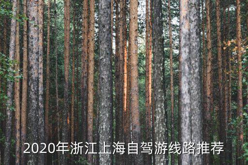 游埠早茶,金華溪商埠古鎮(zhèn)早茶文化比廣州的更悠久
