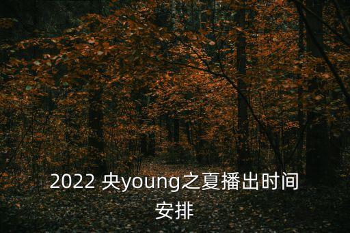 2022 央young之夏播出時間安排