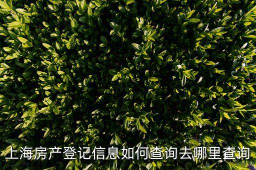 上海房屋管理局,上海房管局:將促進房地產市場健康平穩發展