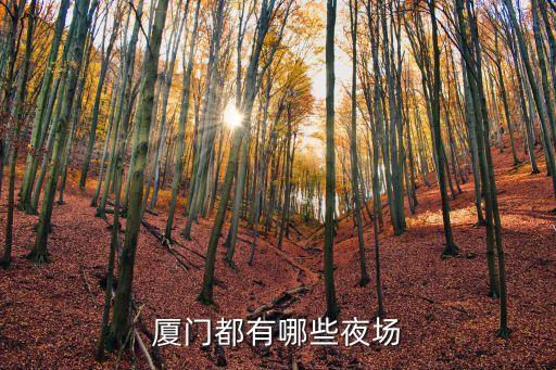 廈門夜市,特色夜游!廈門特色小吃