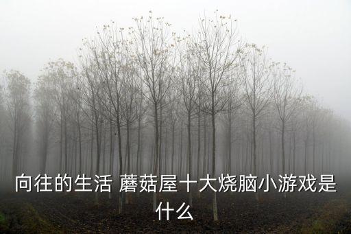 向往的生活 蘑菇屋十大燒腦小游戲是什么