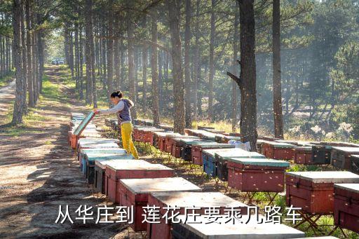 從華莊到 蓮花莊要乘幾路車