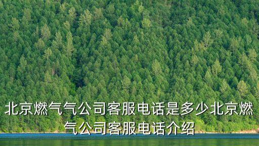新奧燃?xì)怆娫?青島新奧燃?xì)庥邢薰倦娫挾嗌?