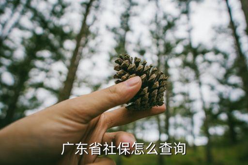 社保查詢系統,企業社保繳費怎么查詢系統社保卡余額查詢