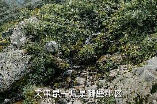 團結新村,新疆烏魯木齊市新市區人口約37.66萬