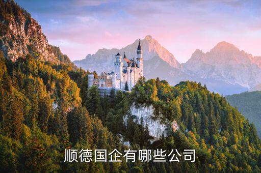 順德國企有哪些公司
