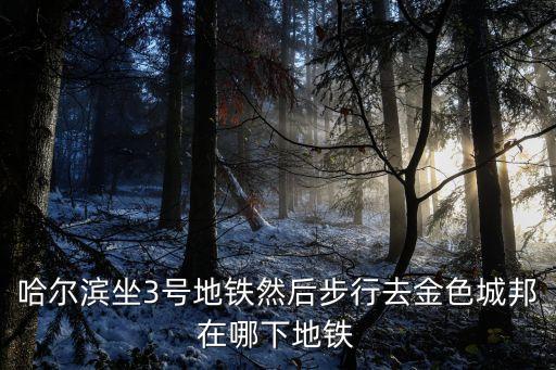 哈爾濱3號線,哈爾濱地鐵2號線倒3號線怎么倒?