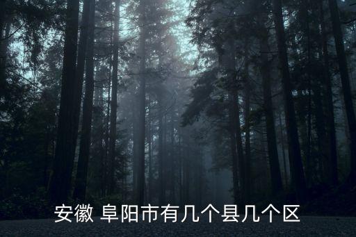 安徽 阜陽(yáng)市有幾個(gè)縣幾個(gè)區(qū)