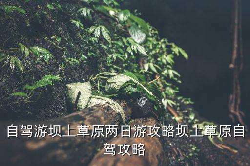 自駕游壩上草原兩日游攻略壩上草原自駕攻略