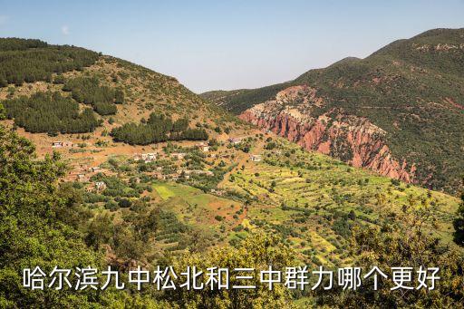 哈爾濱九中松北和三中群力哪個(gè)更好