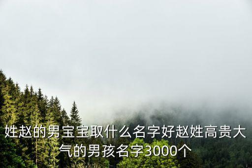 姓趙的男寶寶取什么名字好趙姓高貴大氣的男孩名字3000個