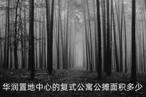 成師附小華潤分校,關于成都最好的小學你知道多少?
