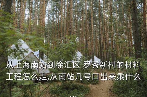 從上海南站到徐匯區 羅秀新村的材料工程怎么走,從南站幾號口出來乘什么...