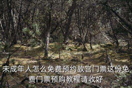 未成年人怎么免費預(yù)約故宮門票這份免費門票預(yù)購教程請收好