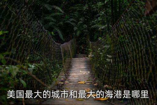 美國最大的城市和最大的海港是哪里