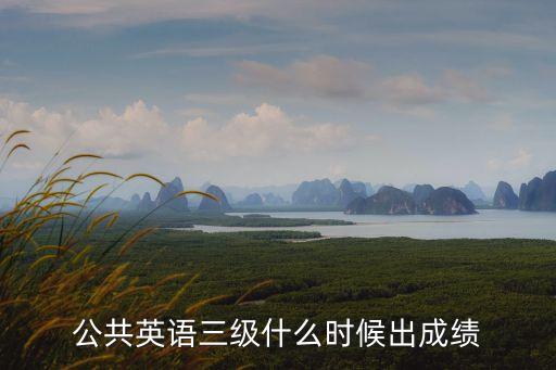 公共英語三級什么時候出成績
