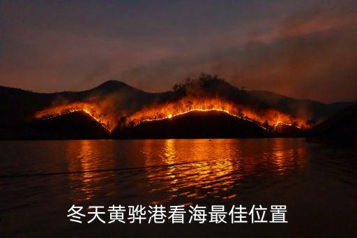 黃驊旅游景點大全,黃驊港漁船出海旅游景點介紹滄海景區景點排名