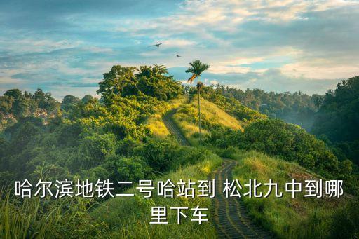 松北九中,從哈爾濱二號線哈站到松北九中哪個好?