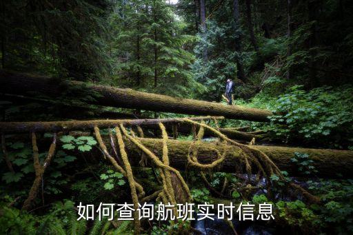 如何查詢航班實時信息
