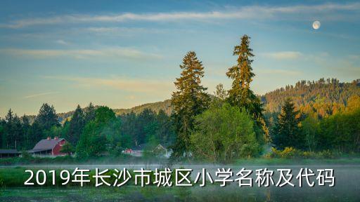 2019年長(zhǎng)沙市城區(qū)小學(xué)名稱及代碼