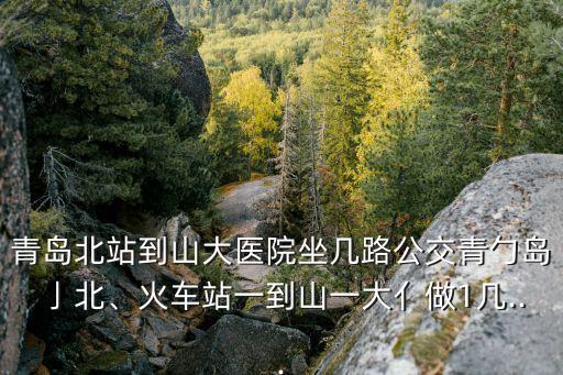 伊春路,從南京路與伊春路交界處向東南方向行駛202路公交