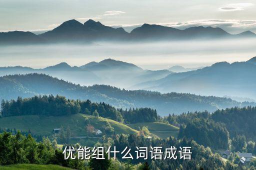 優能組什么詞語成語