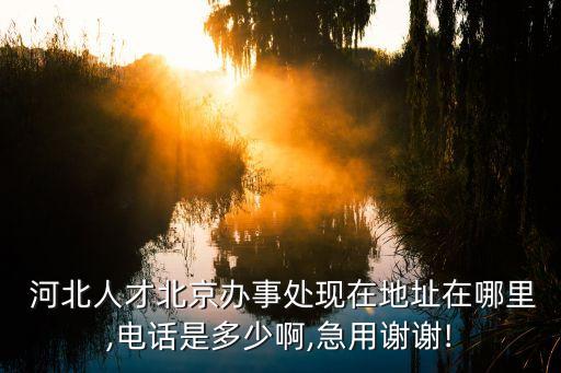 河北人才,河北人才市場招聘啟事