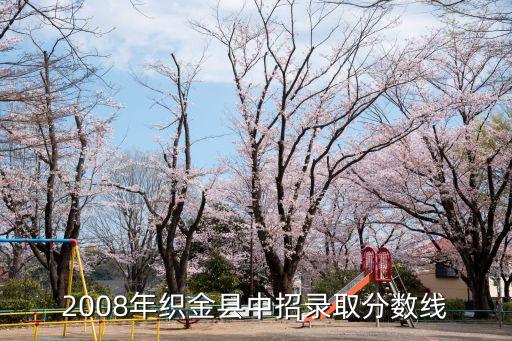 2008年織金縣中招錄取分數線
