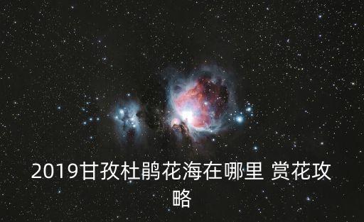 2019甘孜杜鵑花海在哪里 賞花攻略