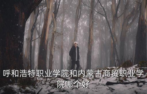 呼和浩特職業(yè)學(xué)院和內(nèi)蒙古商貿(mào)職業(yè)學(xué)院哪個好