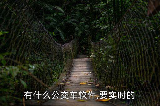 車(chē)來(lái)了查詢(xún),車(chē)來(lái)了app查詢(xún)公交位置有何疑問(wèn)?