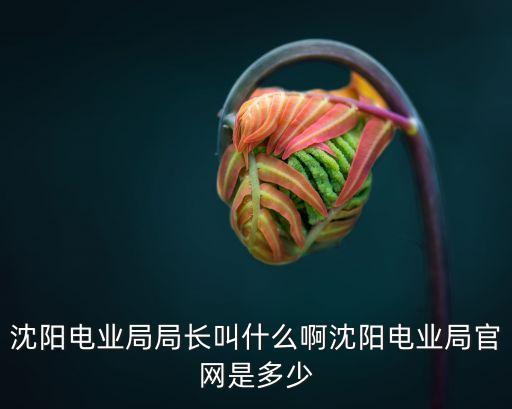 沈陽(yáng)電業(yè)局局長(zhǎng)叫什么啊沈陽(yáng)電業(yè)局官網(wǎng)是多少