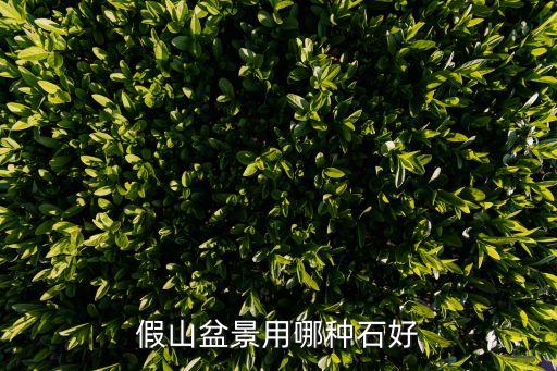 斧劈石,什么樣的假山盆景具備條件?